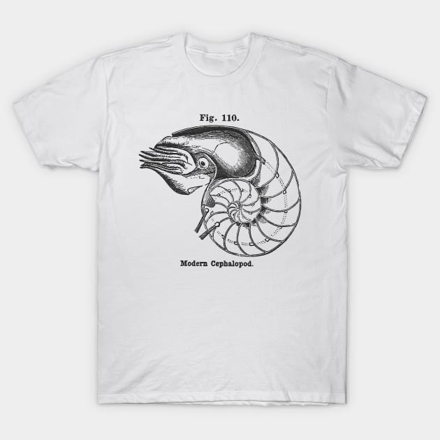 Modern Cephalopod T-Shirt by goodieg